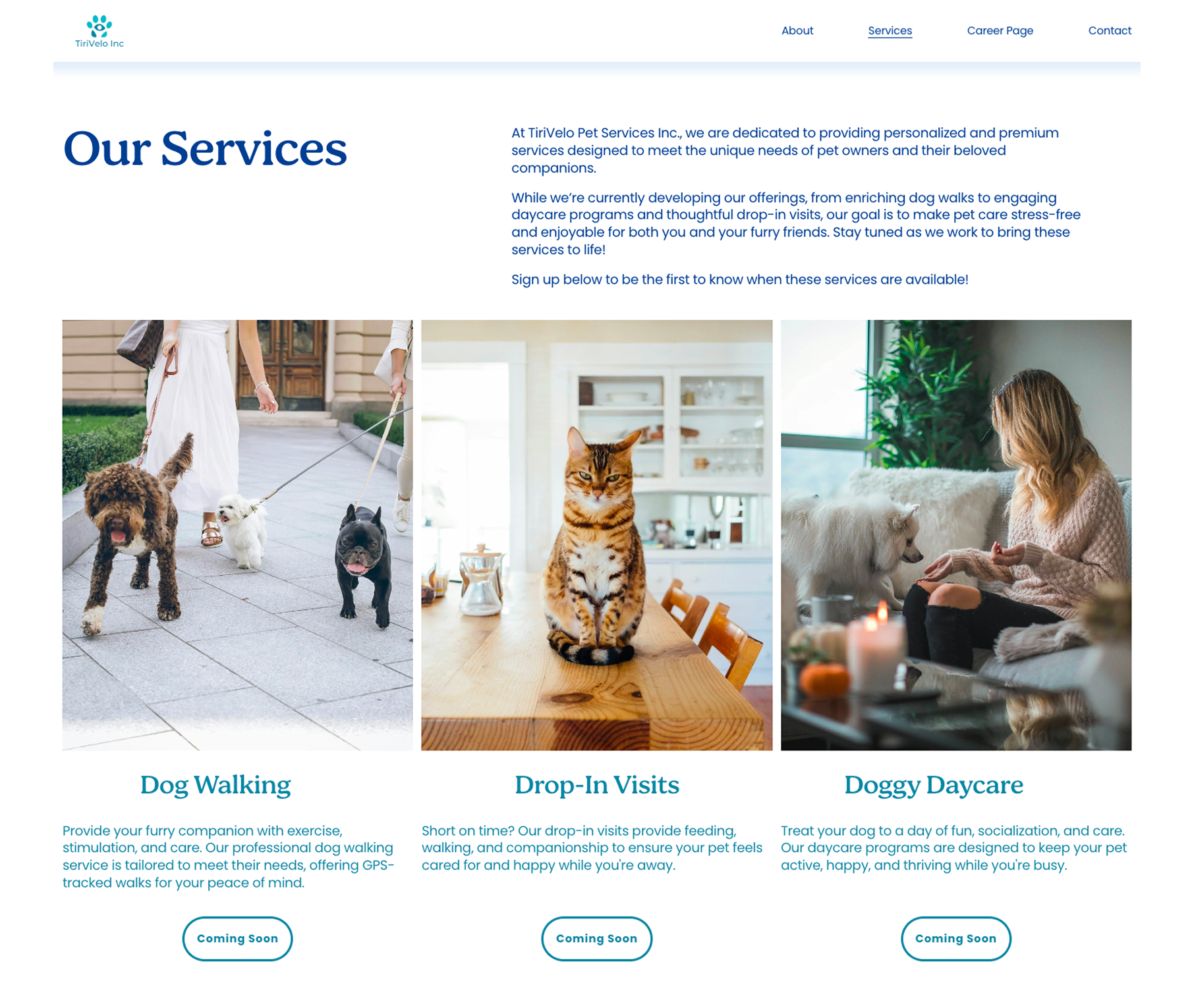 TiriVelo platform service overview showing dog walking and pet sitting categories